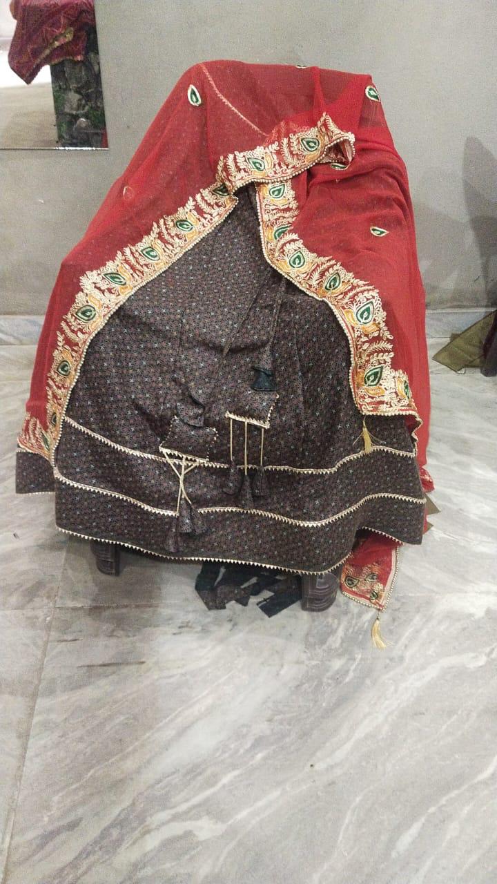 डिजाइनर घाघरा 4